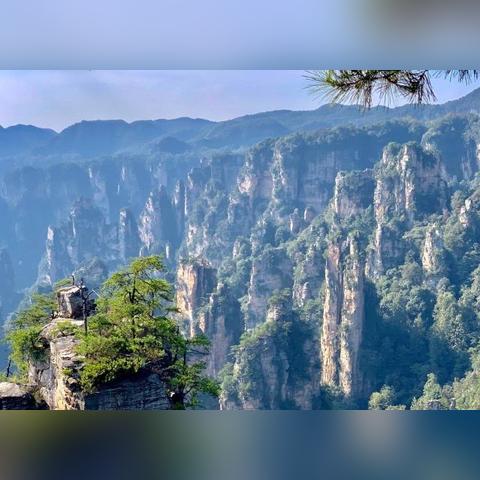湖南张家界天气（湖南张家界天气15天情况官方）