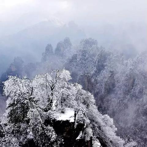 未来15天天气预报查询(张家界未来15天天气预报查询) 未来15天天气预报查询(张家界未来15天天气预报查询)