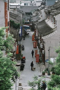 阜城天气，一座小城的四季物语
