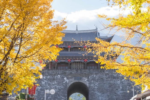 云南大理天气预报，四季如春的风花雪月之城，出行前必看指南