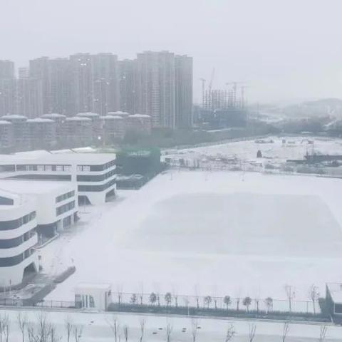 烟台天气预报查询,掌握天气变化,从容安排每一天 烟台天气预报查询,掌握天气变化,从容安排每一天