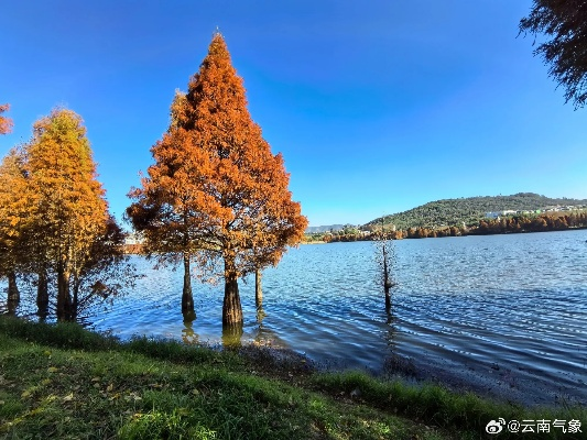 云南天气预报7天,彩云之南的天气密码与旅行指南 云南天气预报7天,彩云之南的天气密码与旅行指南