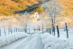 张家口的天气,一场风与雪的四季交响 张家口的天气,一场风与雪的四季交响