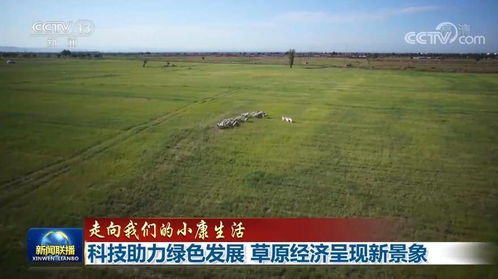 乌审旗天气预报，草原气候的日常守护者