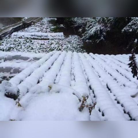 21日天气预报，寒潮来袭，多地气温骤降，注意防寒保暖