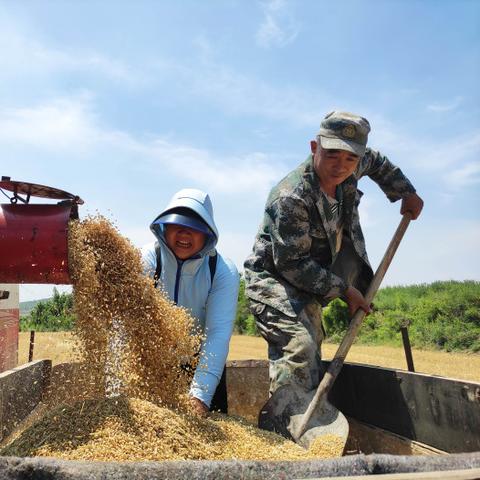邹平天气预报，春日晴好，气温回升正当时