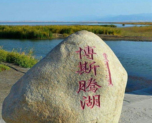 库尔勒天气预报，沙海边的天气密码，如何影响一座绿洲城市的生活节奏