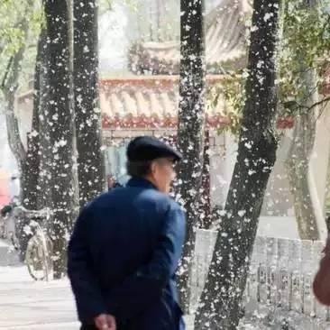 蚌埠天气预报，天气变化早知道，生活出行更从容