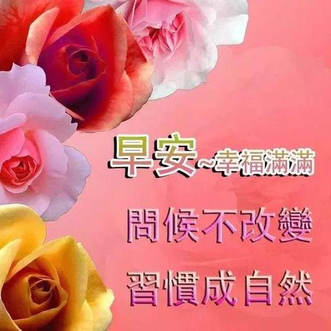 24小时天气速览,今日冷暖波动,出行需备伞 24小时天气速览,今日冷暖波动,出行需备伞