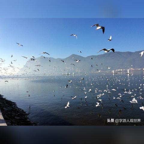 云南冬天温度一般多少,暖阳之冬,舒适如春 云南冬天温度一般多少,暖阳之冬,舒适如春