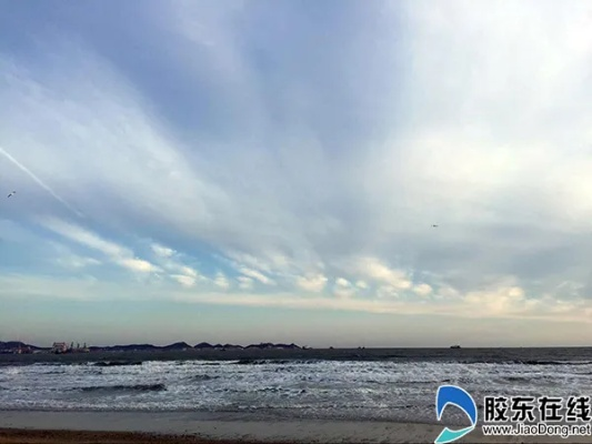 烟台的天气，海风里的四季诗篇