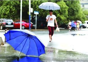 沈阳一周天气变幻莫测,市民出行需备好雨具与防晒装备 沈阳一周天气变幻莫测,市民出行需备好雨具与防晒装备