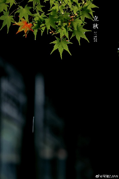 十五日天象志，从热浪到秋凉的轮回