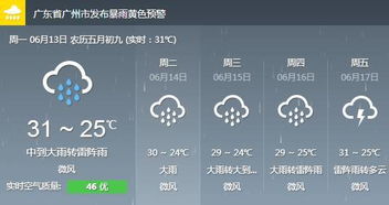 广州实时天气，雨热交替中的城市呼吸