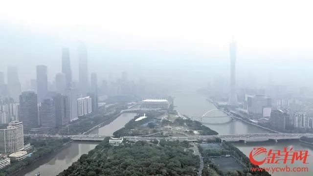 广州今日天气，雨雾交织中的城市脉搏