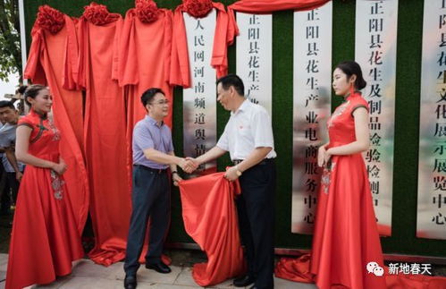 安徽合肥天气,四季流转中的温婉与热烈 安徽合肥天气,四季流转中的温婉与热烈